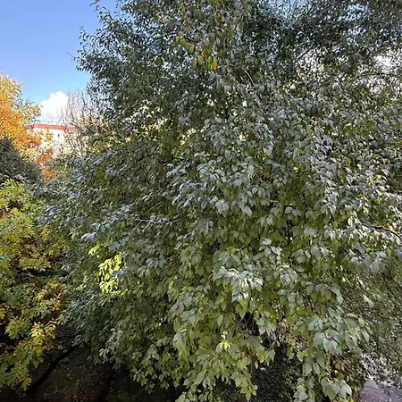 Sleep And Go Uioara - Parcare Inclusa *