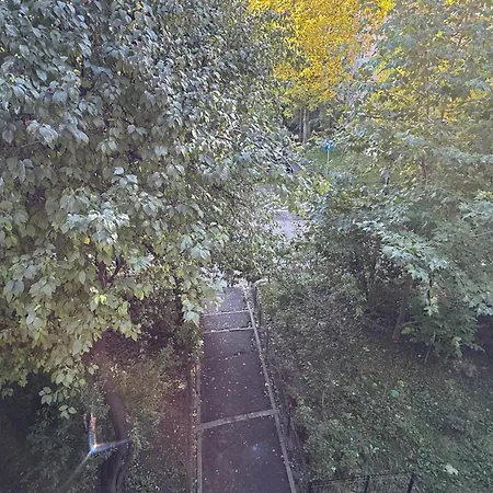 Sleep And Go Uioara - Parcare Inclusa *