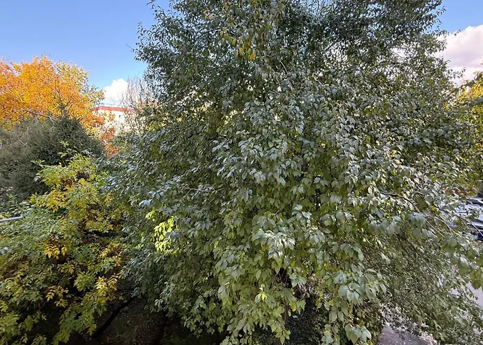 Sleep And Go Uioara - Parcare Inclusa *